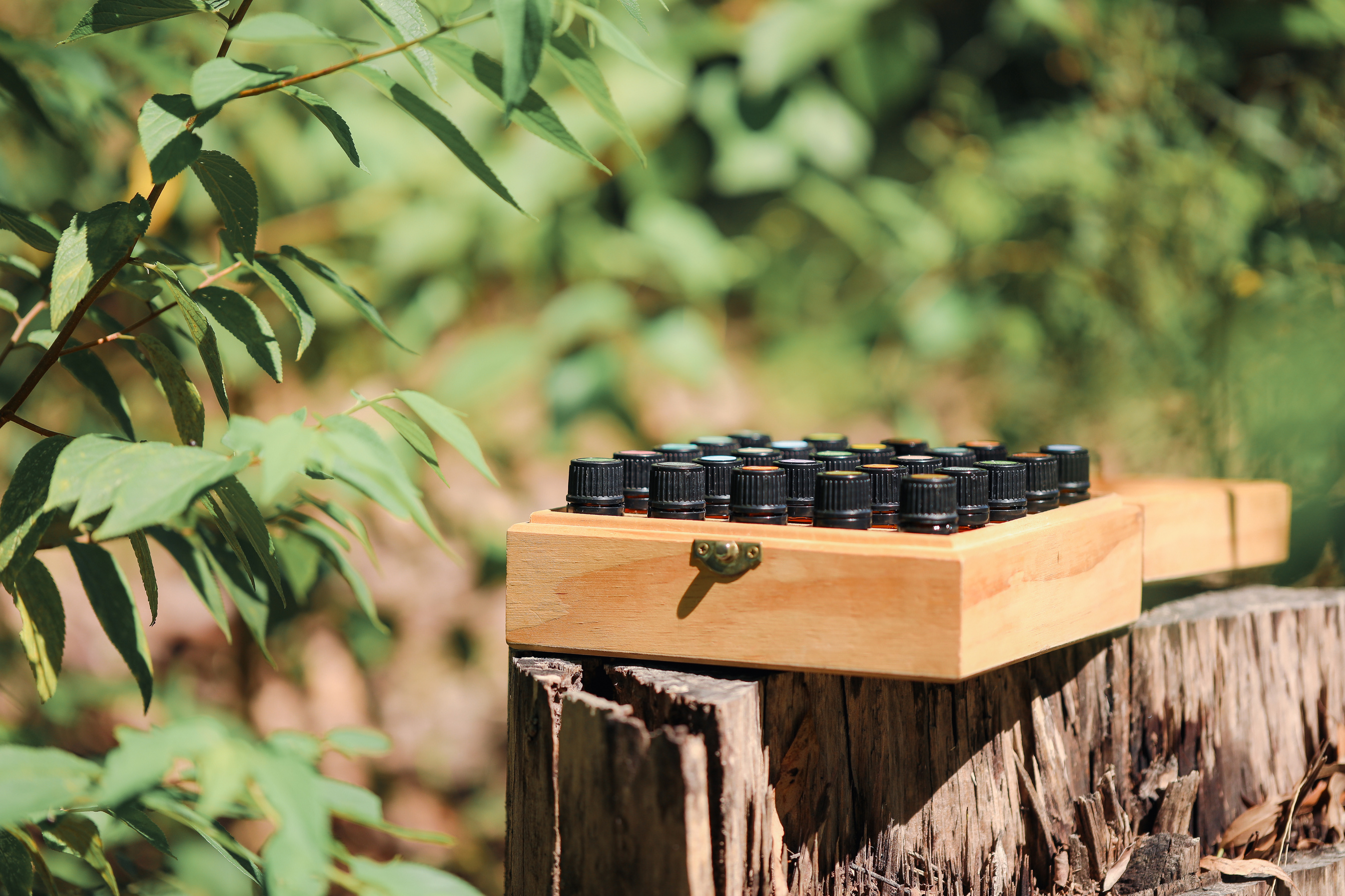 Wooden Essential Oils Box on Log in Natural Outdoor Setting with Lid Open