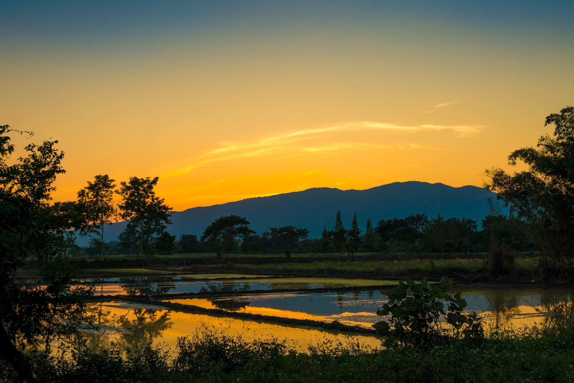 Sunset View